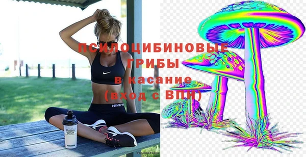 2c-b Ладушкин