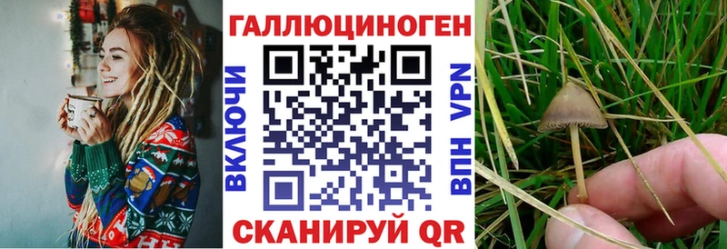 Галлюциногенные грибы MAGIC MUSHROOMS  что такое   Николаевск-на-Амуре 